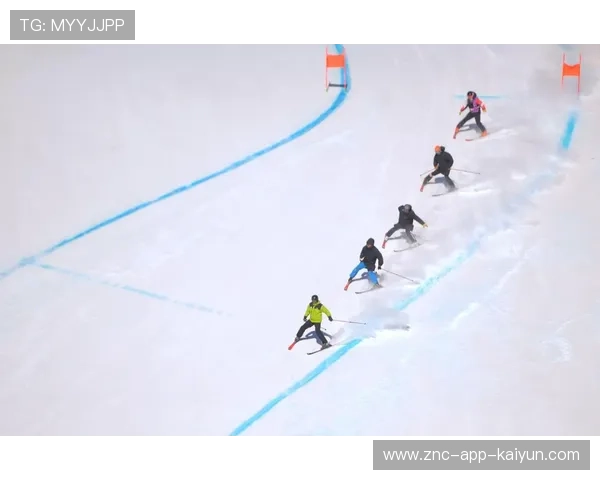 世界高山滑雪赛道改造示范项目启动,国际高山滑雪 世界高山滑雪赛道改造示范项目启动,国际高山滑雪