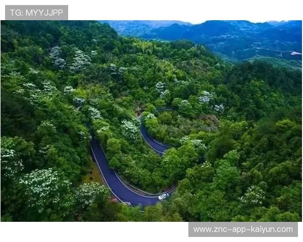 世界田径联盟在赛事组织中推行绿色设施与可持续观赛措施降低环境影响